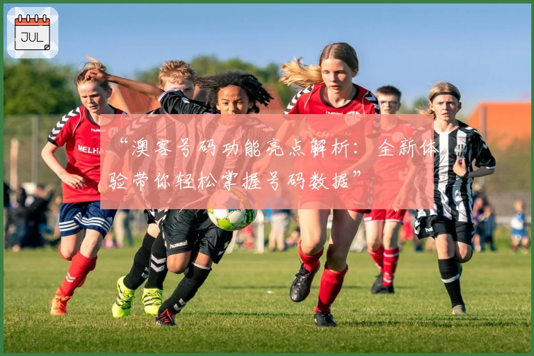 “澳客号码功能亮点解析：全新体验带你轻松掌握号码数据”