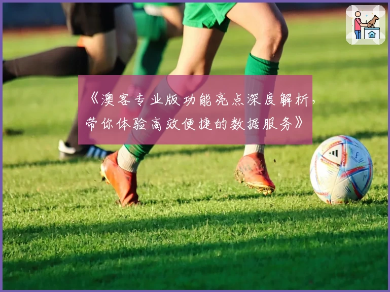 《澳客专业版功能亮点深度解析，带你体验高效便捷的数据服务》