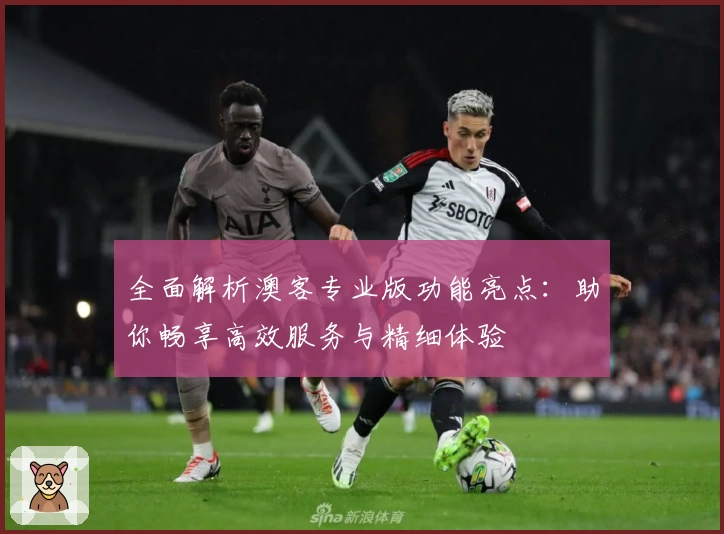 全面解析澳客专业版功能亮点：助你畅享高效服务与精细体验