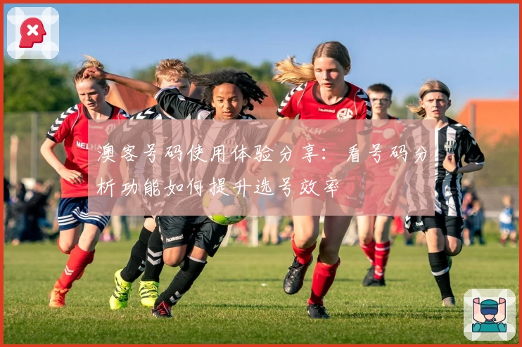 澳客号码使用体验分享：看号码分析功能如何提升选号效率