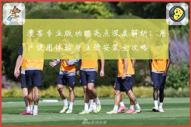 澳客专业版功能亮点深度解析：用户使用体验与注册安装全攻略